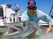 Picture of Barracuda