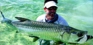 Picture of Tarpon